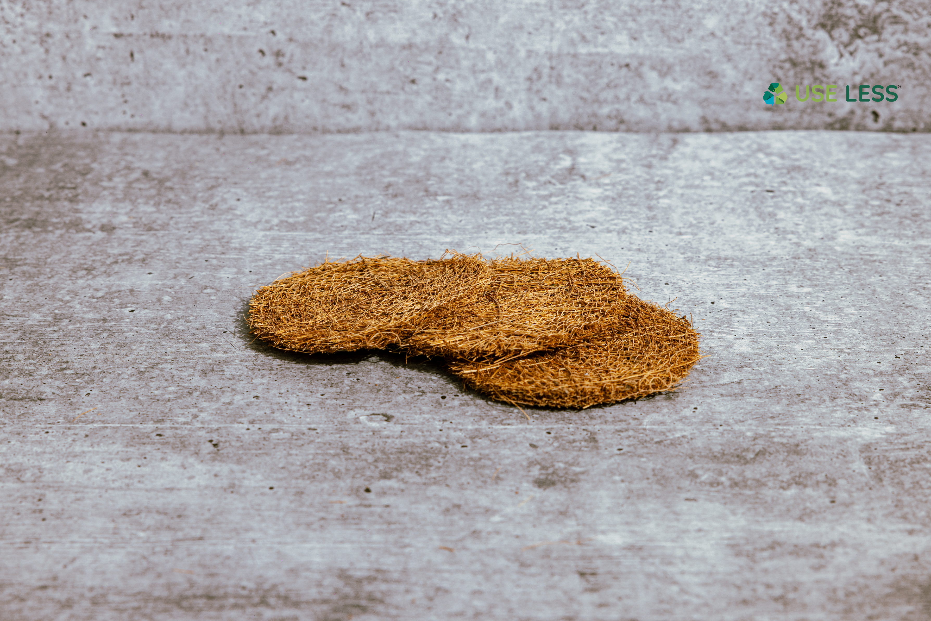 Scrubber Pads (10 pcs)