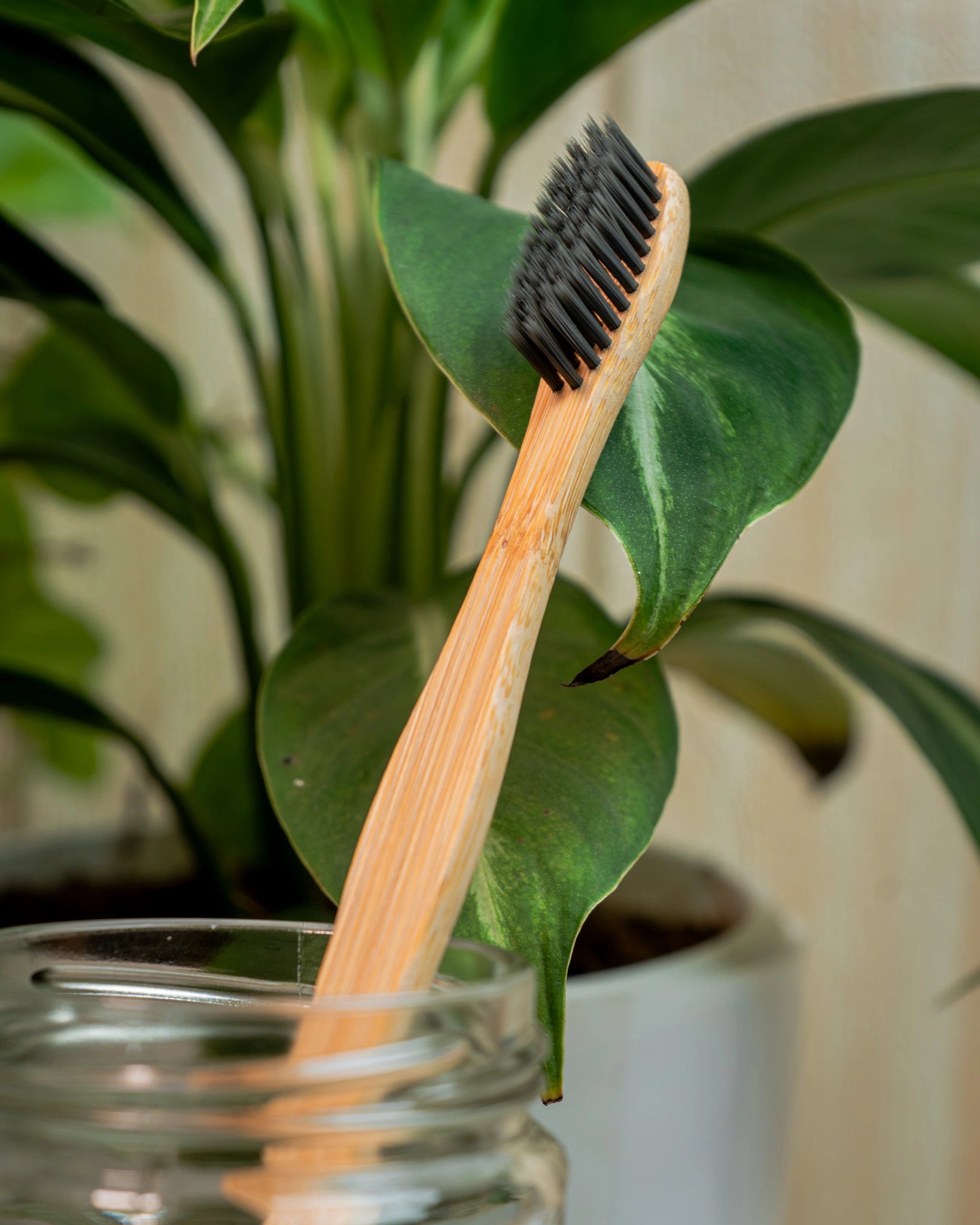 Eco-friendly bamboo charcoal toothbrush with biodegradable handle and soft charcoal bristles for sustainable oral care.
