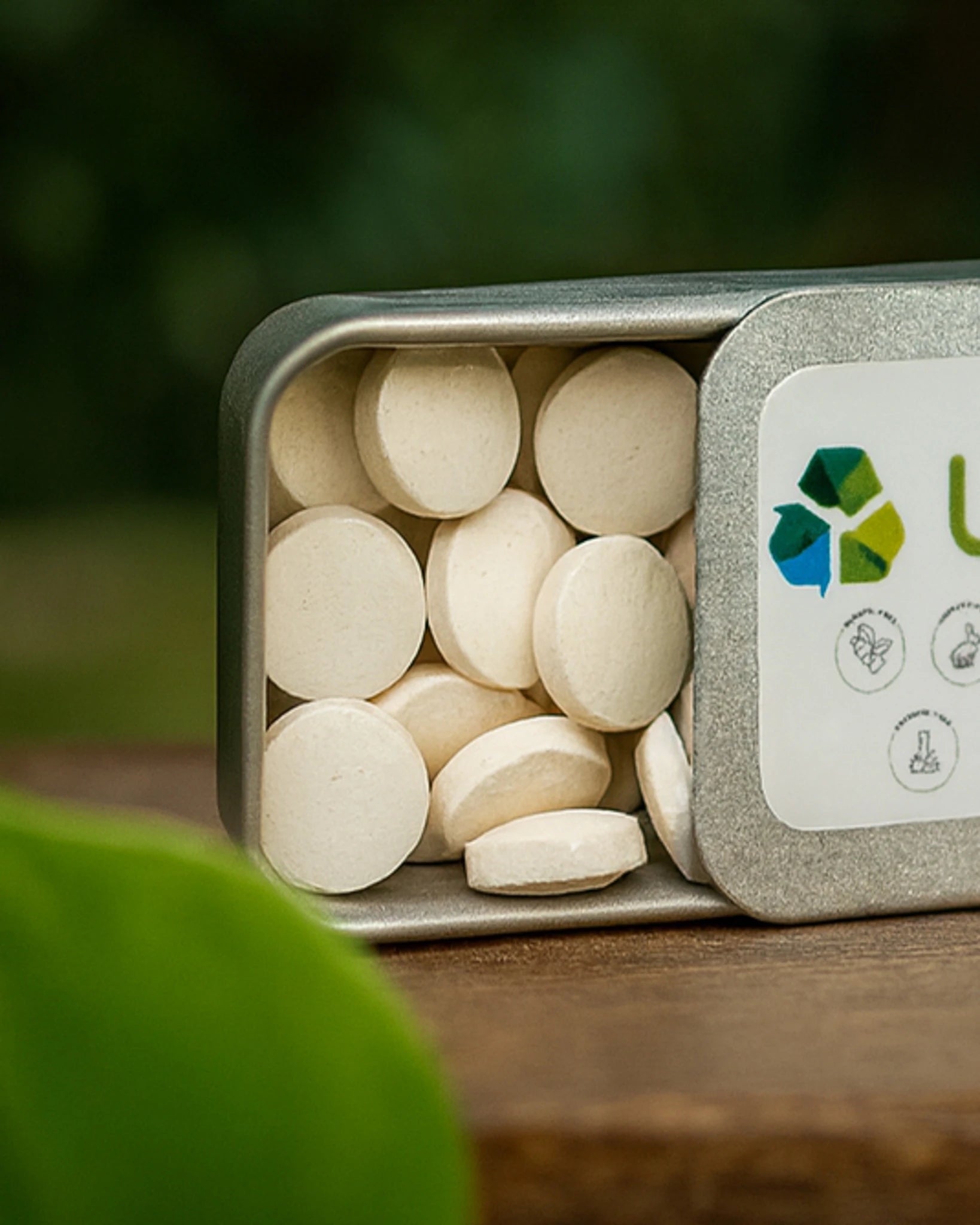 Toothpaste Tablets (Travel Case)