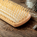 Paddle Brush