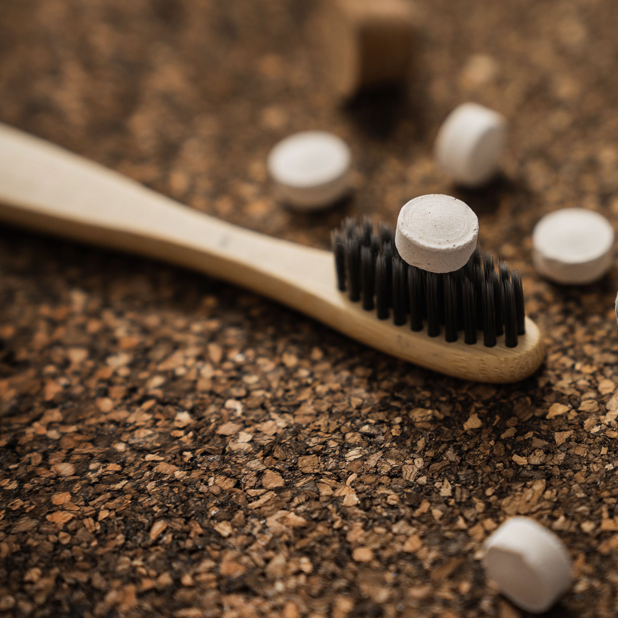 Bamboo Toothbrush (Charcoal Bristles)